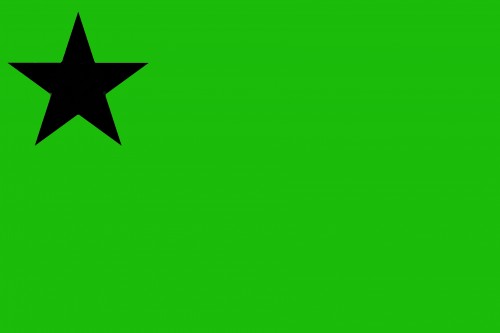 drapeau_vert_ETOILE.jpg